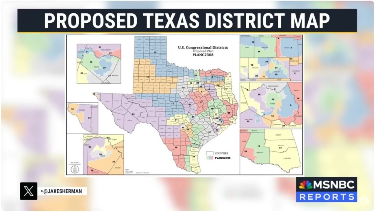 Proposed Texas congressional districts map (2025)
